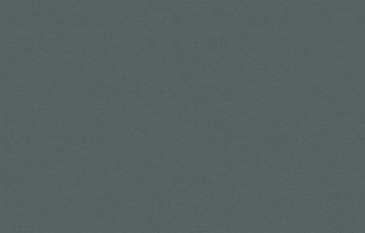 Обои Loymina Equator Stitched QTR8 005/1 10,05×1